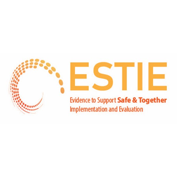 ESTIE: The Evidence to Support Safe and Together Implementation and Evaluation Project